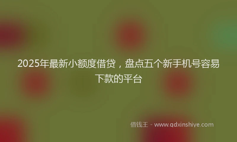 2025年最新小额度借贷，盘点五个新手机号容易下款的平台