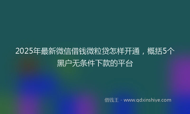 2025年最新微信借钱微粒贷怎样开通，概括5个黑户无条件下款的平台