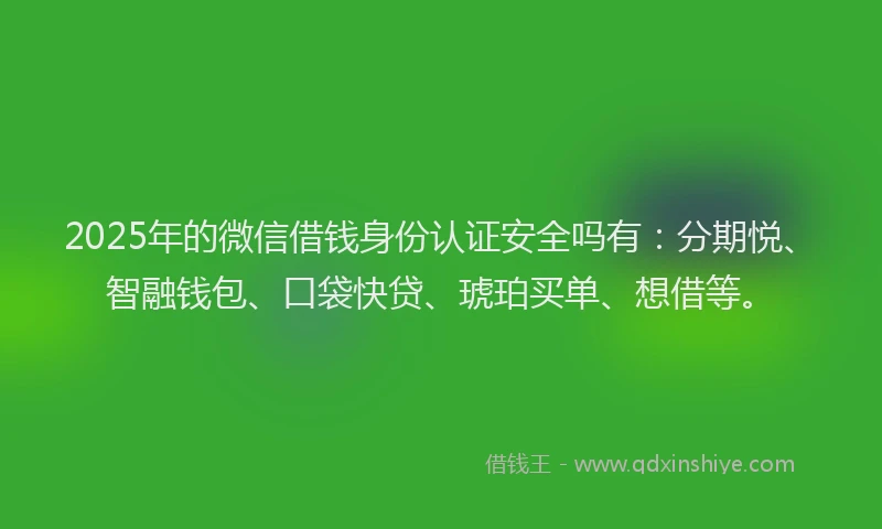 2025年的微信借钱身份认证安全吗有：分期悦、智融钱包、口袋快贷、琥珀买单、想借等。