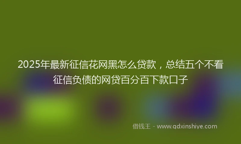 2025年最新征信花网黑怎么贷款，总结五个不看征信负债的网贷百分百下款口子