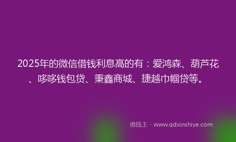 2025年的微信借钱利息高的有：爱鸿森、葫芦花、哆哆钱包贷、秉鑫商城、捷越巾帼贷等。
