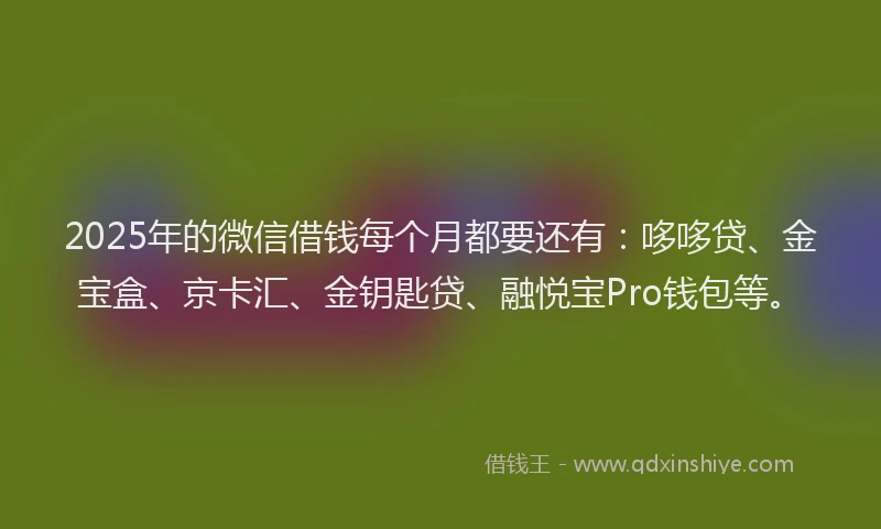 2025年的微信借钱每个月都要还有：哆哆贷、金宝盒、京卡汇、金钥匙贷、融悦宝Pro钱包等。