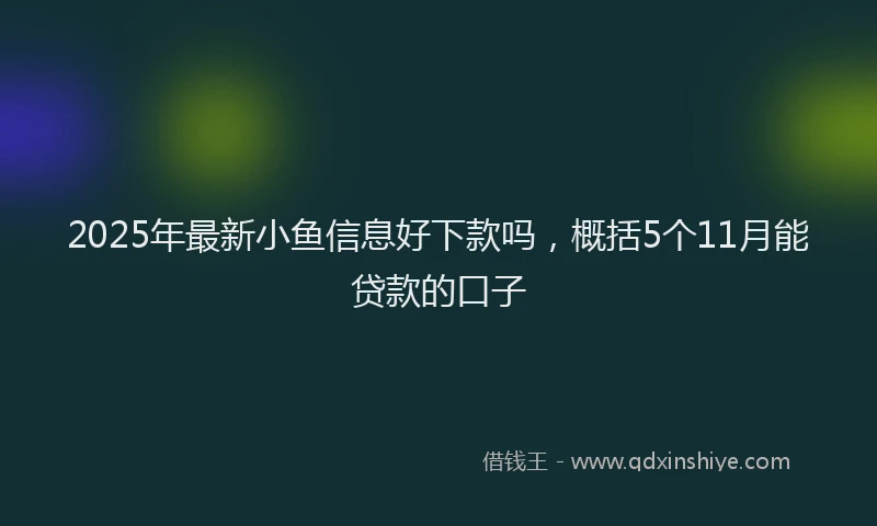 2025年最新小鱼信息好下款吗，概括5个11月能贷款的口子