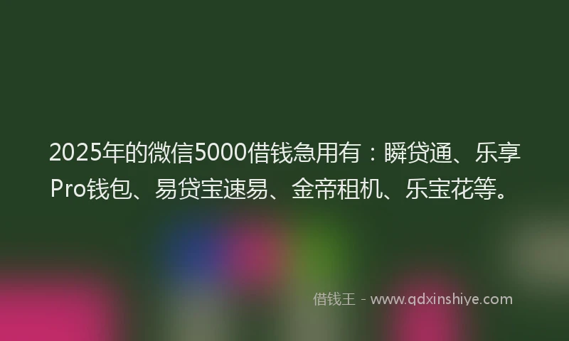 2025年的微信5000借钱急用有：瞬贷通、乐享Pro钱包、易贷宝速易、金帝租机、乐宝花等。