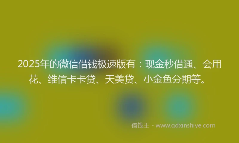 2025年的微信借钱极速版有：现金秒借通、会用花、维信卡卡贷、天美贷、小金鱼分期等。
