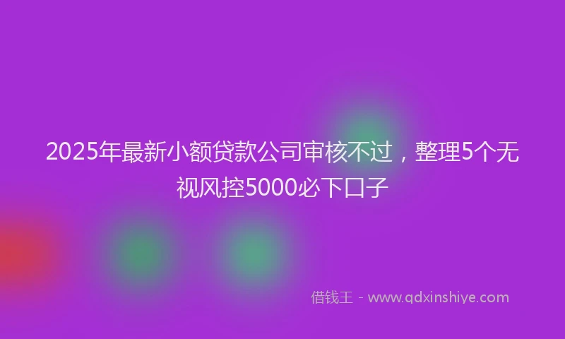2025年最新小额贷款公司审核不过，整理5个无视风控5000必下口子