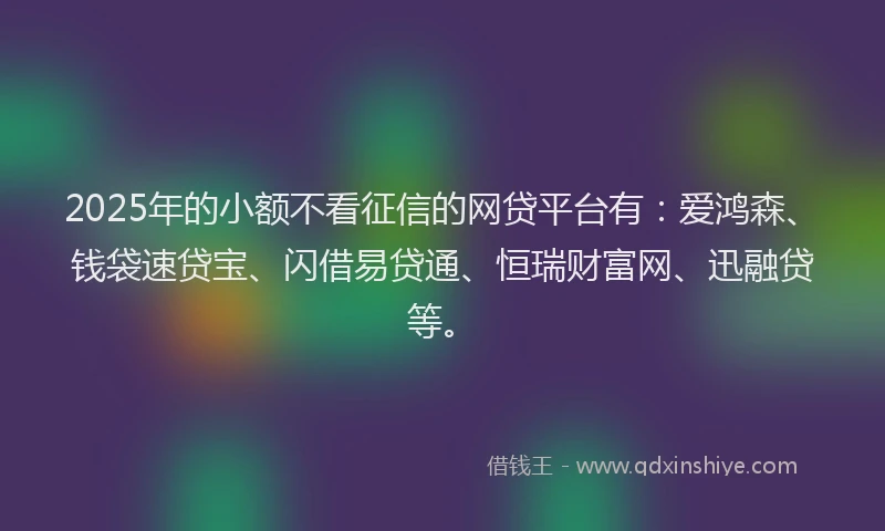 2025年的小额不看征信的网贷平台有：爱鸿森、钱袋速贷宝、闪借易贷通、恒瑞财富网、迅融贷等。