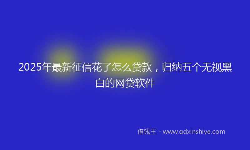 2025年最新征信花了怎么贷款，归纳五个无视黑白的网贷软件