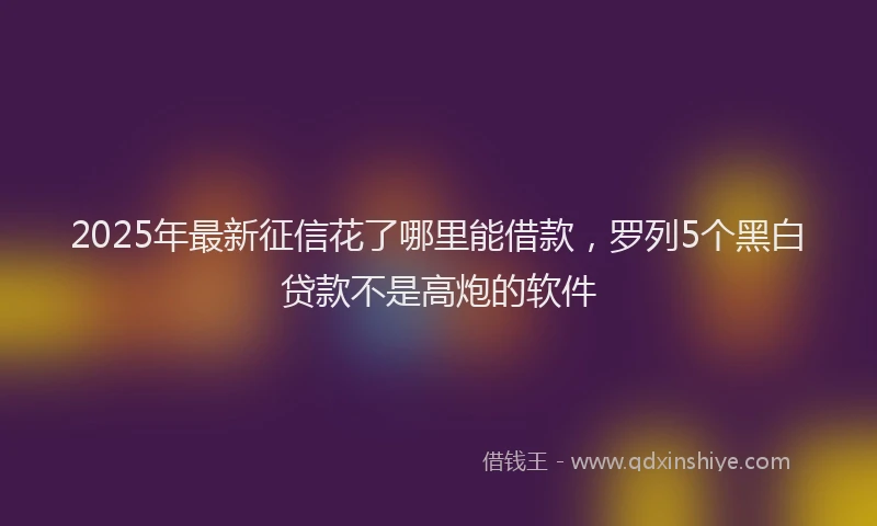 2025年最新征信花了哪里能借款，罗列5个黑白贷款不是高炮的软件