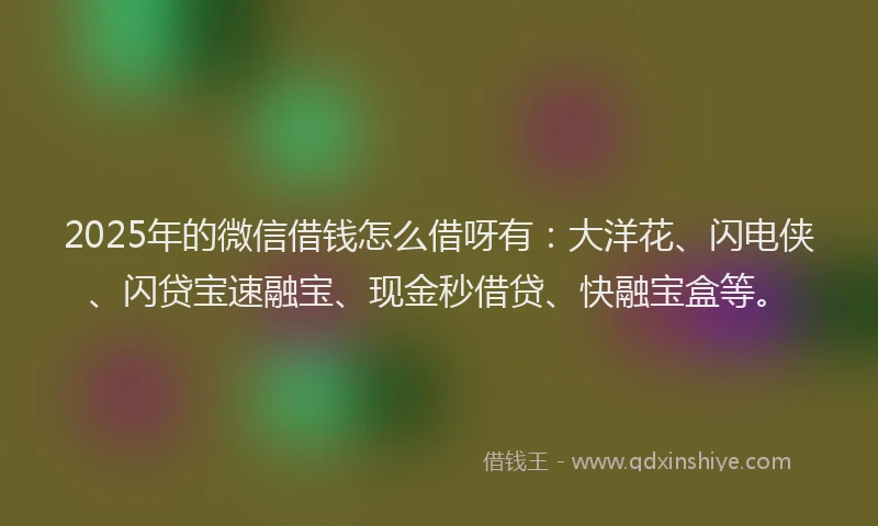 2025年的微信借钱怎么借呀有：大洋花、闪电侠、闪贷宝速融宝、现金秒借贷、快融宝盒等。