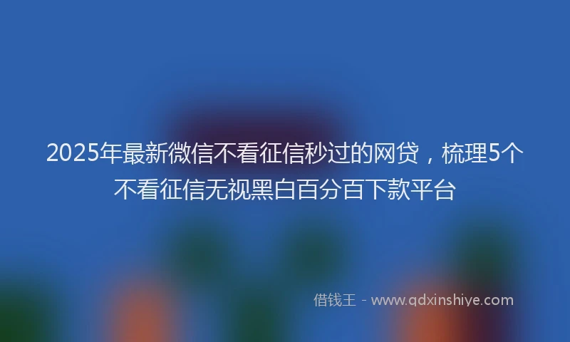 2025年最新微信不看征信秒过的网贷，梳理5个不看征信无视黑白百分百下款平台