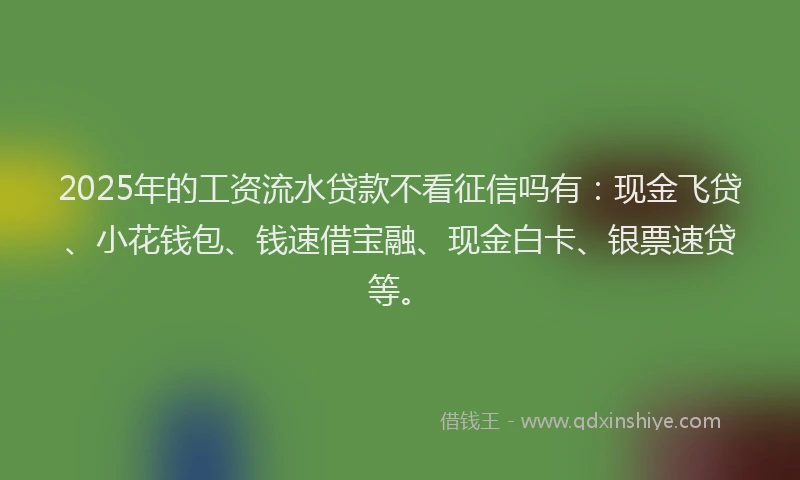 2025年的工资流水贷款不看征信吗有：现金飞贷、小花钱包、钱速借宝融、现金白卡、银票速贷等。