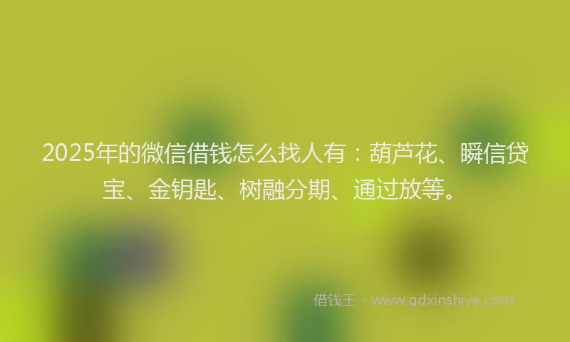 2025年的微信借钱怎么找人有：葫芦花、瞬信贷宝、金钥匙、树融分期、通过放等。