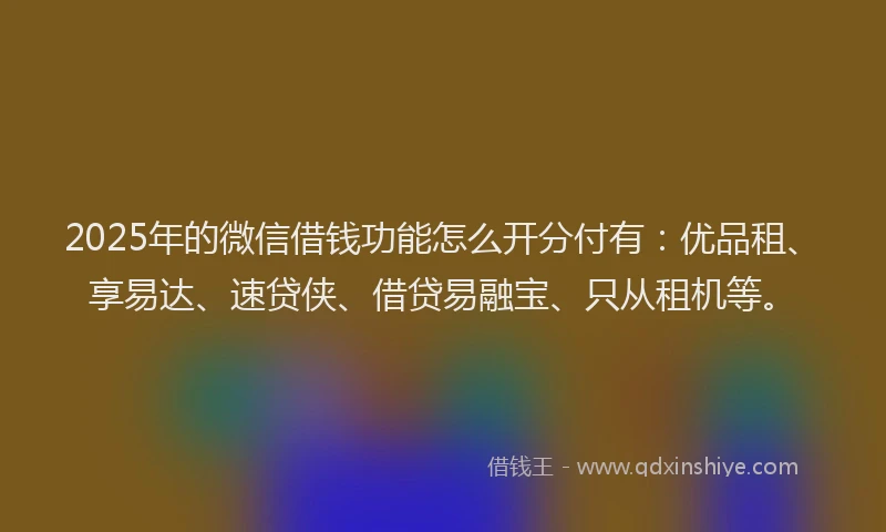 2025年的微信借钱功能怎么开分付有：优品租、享易达、速贷侠、借贷易融宝、只从租机等。