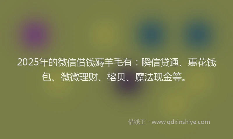 2025年的微信借钱薅羊毛有：瞬信贷通、惠花钱包、微微理财、榕贝、魔法现金等。