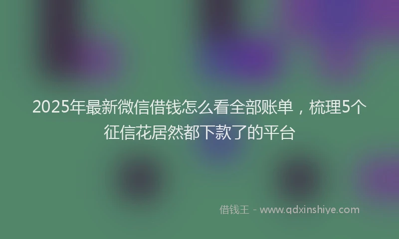 2025年最新微信借钱怎么看全部账单，梳理5个征信花居然都下款了的平台