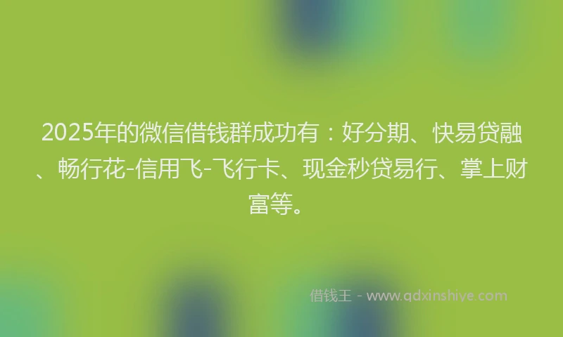 2025年的微信借钱群成功有：好分期、快易贷融、畅行花-信用飞-飞行卡、现金秒贷易行、掌上财富等。