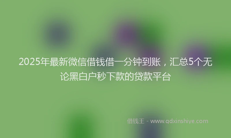 2025年最新微信借钱借一分钟到账，汇总5个无论黑白户秒下款的贷款平台