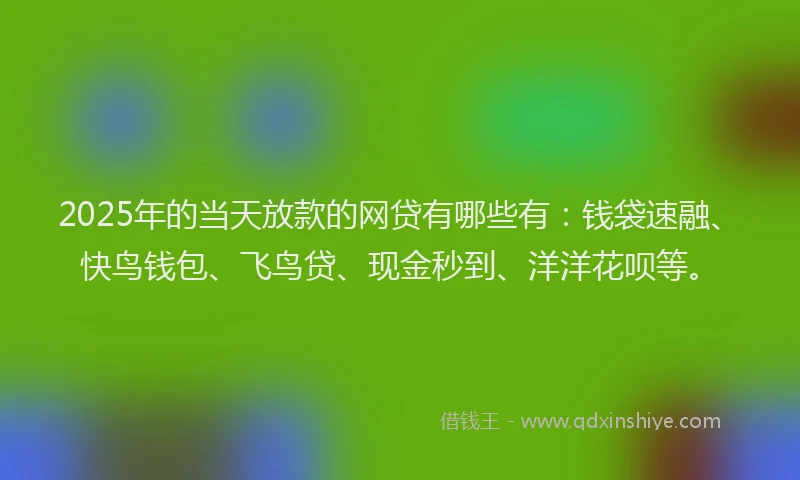 2025年的当天放款的网贷有哪些有：钱袋速融、快鸟钱包、飞鸟贷、现金秒到、洋洋花呗等。