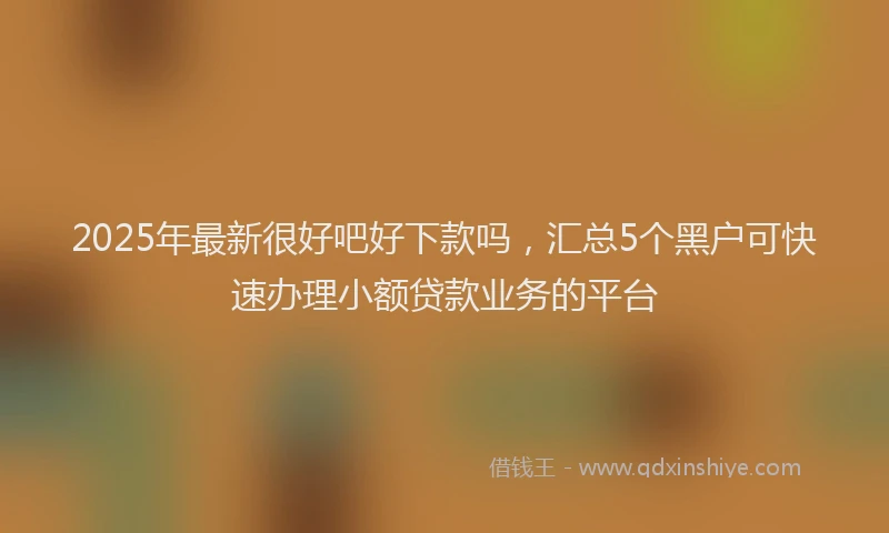 2025年最新很好吧好下款吗，汇总5个黑户可快速办理小额贷款业务的平台