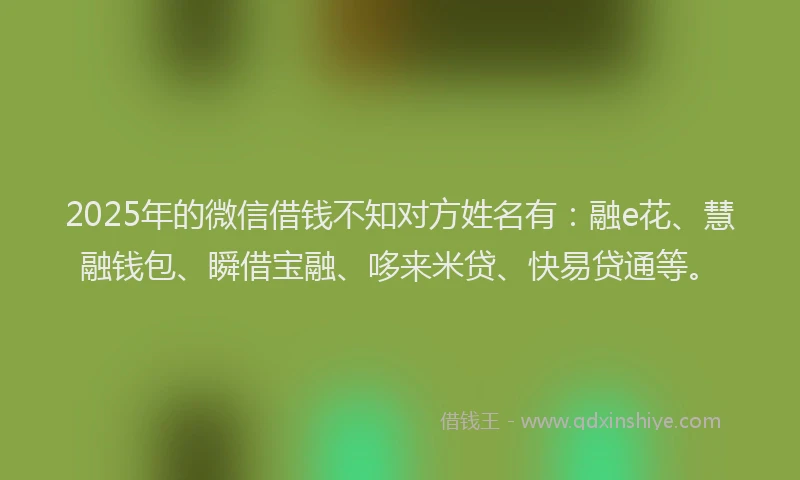 2025年的微信借钱不知对方姓名有：融e花、慧融钱包、瞬借宝融、哆来米贷、快易贷通等。