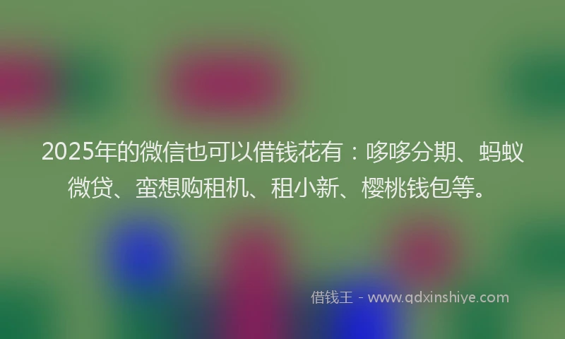 2025年的微信也可以借钱花有：哆哆分期、蚂蚁微贷、蛮想购租机、租小新、樱桃钱包等。