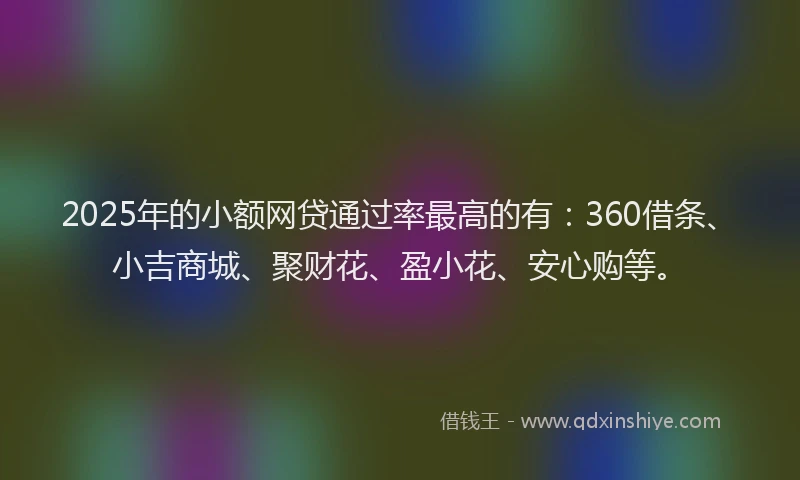 2025年的小额网贷通过率最高的有：360借条、小吉商城、聚财花、盈小花、安心购等。