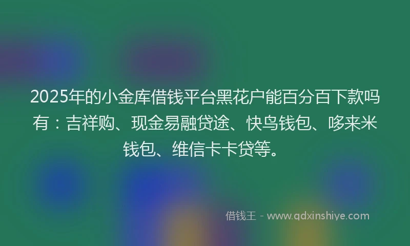 2025年的小金库借钱平台黑花户能百分百下款吗有：吉祥购、现金易融贷途、快鸟钱包、哆来米钱包、维信卡卡贷等。