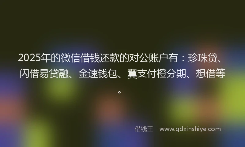 2025年的微信借钱还款的对公账户有：珍珠贷、闪借易贷融、金速钱包、翼支付橙分期、想借等。