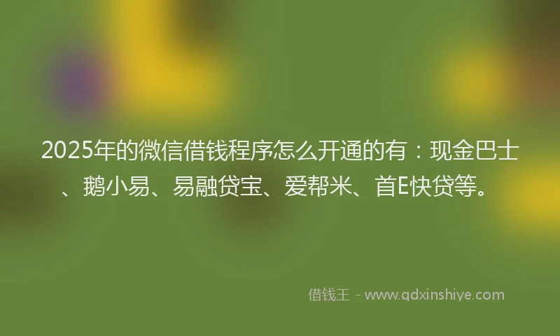 2025年的微信借钱程序怎么开通的有：现金巴士、鹅小易、易融贷宝、爱帮米、首E快贷等。