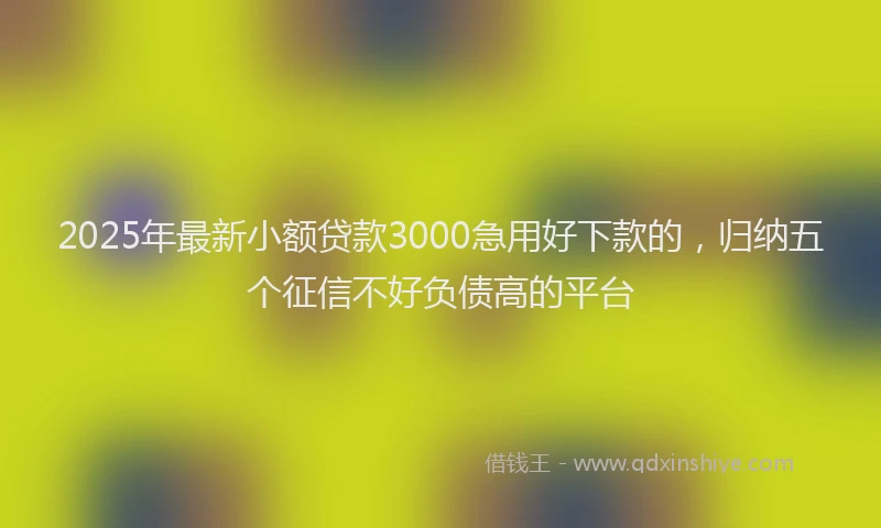 2025年最新小额贷款3000急用好下款的，归纳五个征信不好负债高的平台