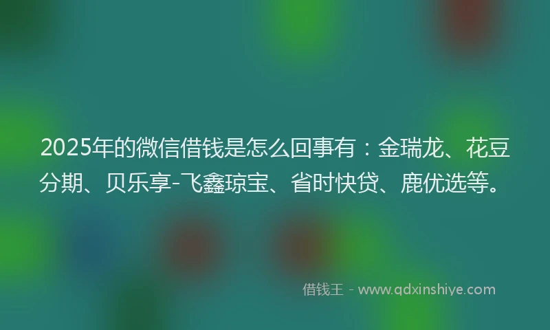 2025年的微信借钱是怎么回事有：金瑞龙、花豆分期、贝乐享-飞鑫琼宝、省时快贷、鹿优选等。