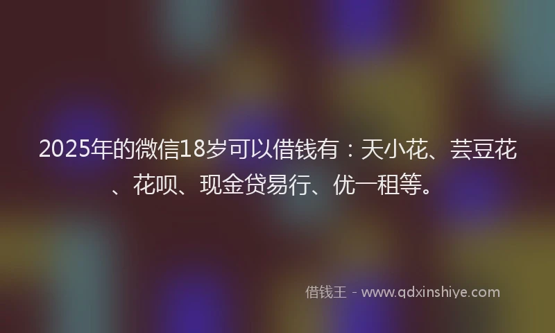 2025年的微信18岁可以借钱有：天小花、芸豆花、花呗、现金贷易行、优一租等。