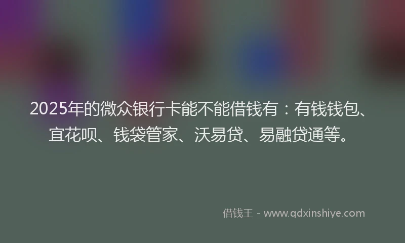 2025年的微众银行卡能不能借钱有：有钱钱包、宜花呗、钱袋管家、沃易贷、易融贷通等。