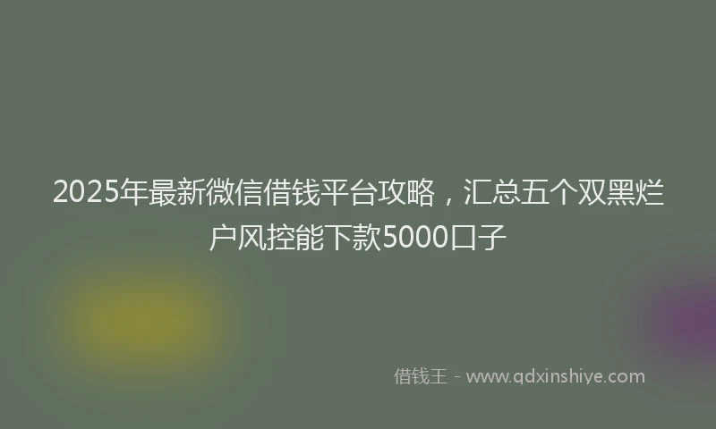 2025年最新微信借钱平台攻略，汇总五个双黑烂户风控能下款5000口子