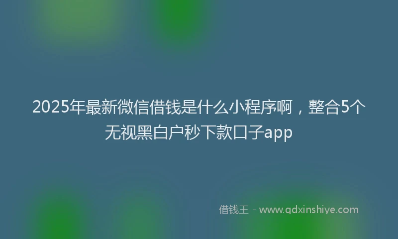 2025年最新微信借钱是什么小程序啊，整合5个无视黑白户秒下款口子app