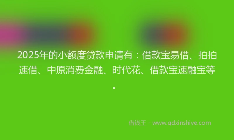 2025年的小额度贷款申请有：借款宝易借、拍拍速借、中原消费金融、时代花、借款宝速融宝等。
