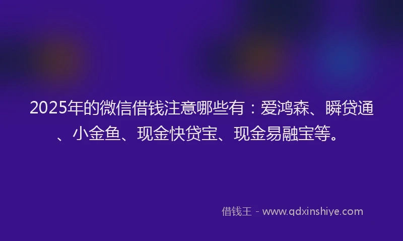 2025年的微信借钱注意哪些有：爱鸿森、瞬贷通、小金鱼、现金快贷宝、现金易融宝等。