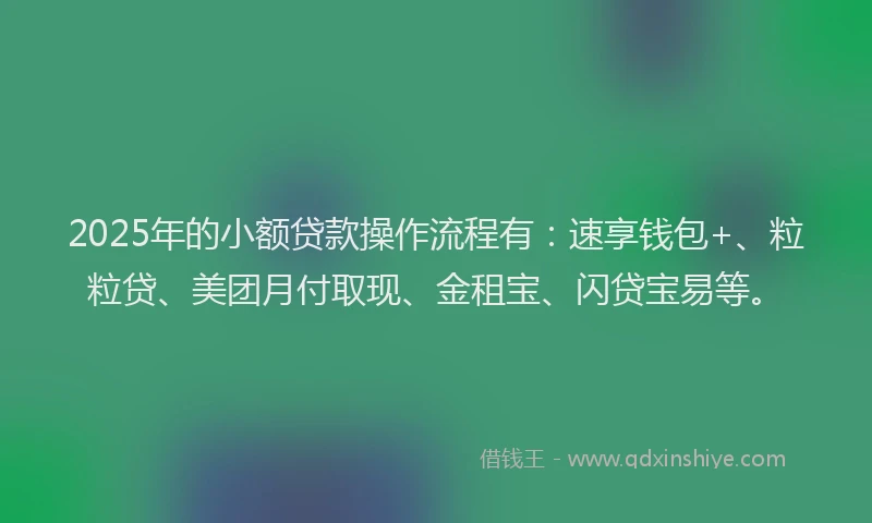 2025年的小额贷款操作流程有：速享钱包+、粒粒贷、美团月付取现、金租宝、闪贷宝易等。