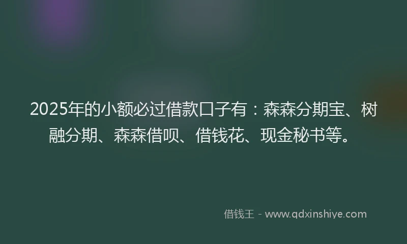 2025年的小额必过借款口子有：森森分期宝、树融分期、森森借呗、借钱花、现金秘书等。