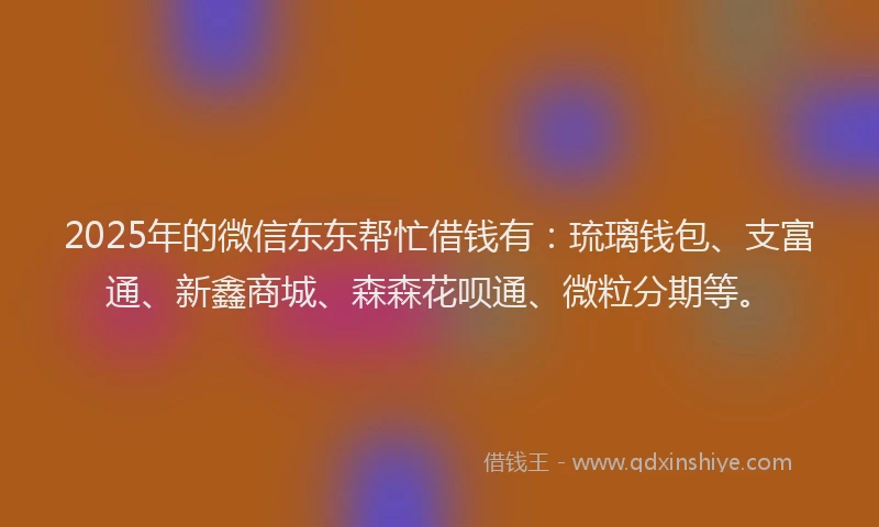 2025年的微信东东帮忙借钱有：琉璃钱包、支富通、新鑫商城、森森花呗通、微粒分期等。