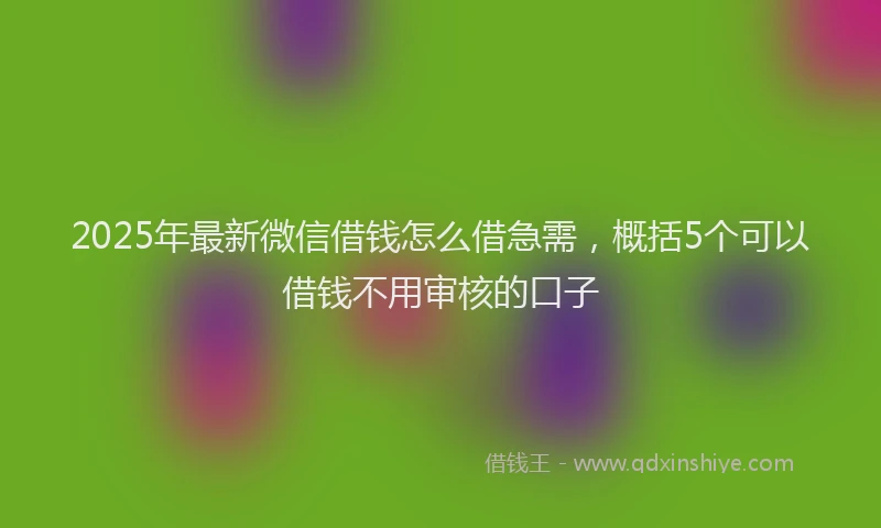 2025年最新微信借钱怎么借急需，概括5个可以借钱不用审核的口子