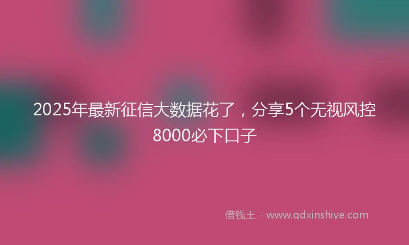 2025年最新征信大数据花了，分享5个无视风控8000必下口子