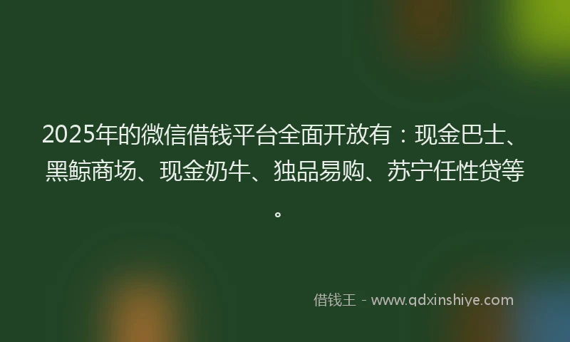 2025年的微信借钱平台全面开放有：现金巴士、黑鲸商场、现金奶牛、独品易购、苏宁任性贷等。