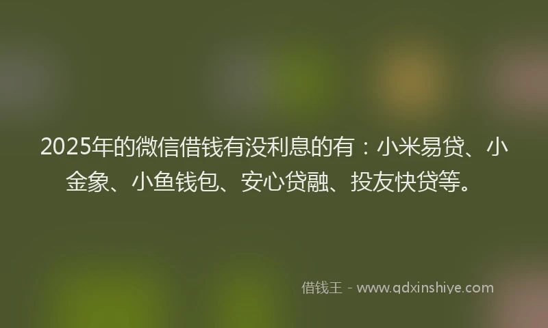 2025年的微信借钱有没利息的有：小米易贷、小金象、小鱼钱包、安心贷融、投友快贷等。