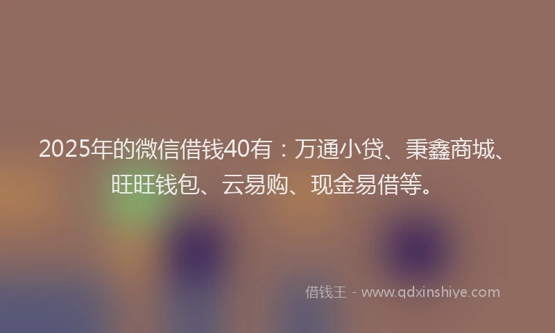 2025年的微信借钱40有：万通小贷、秉鑫商城、旺旺钱包、云易购、现金易借等。
