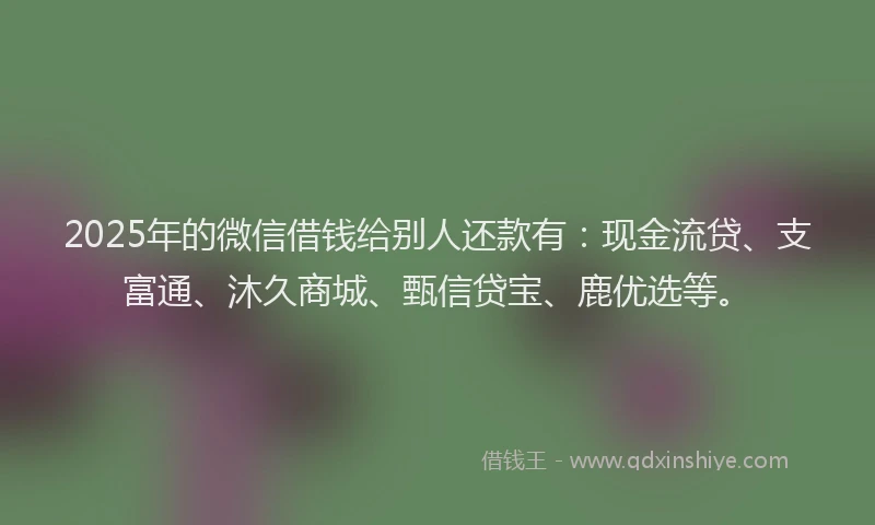 2025年的微信借钱给别人还款有：现金流贷、支富通、沐久商城、甄信贷宝、鹿优选等。