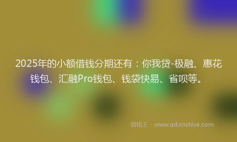 2025年的小额借钱分期还有：你我贷-极融、惠花钱包、汇融Pro钱包、钱袋快易、省呗等。