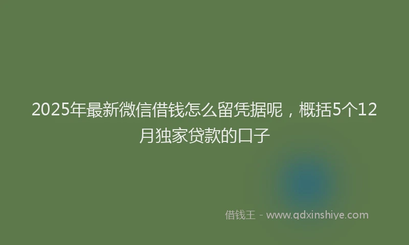2025年最新微信借钱怎么留凭据呢，概括5个12月独家贷款的口子