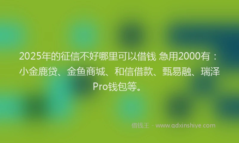 2025年的征信不好哪里可以借钱 急用2000有：小金鹿贷、金鱼商城、和信借款、甄易融、瑞泽Pro钱包等。